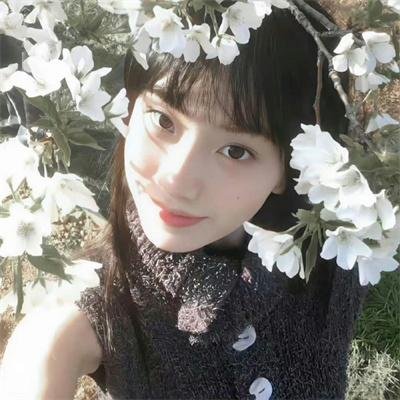 丫丫叉叉 海报